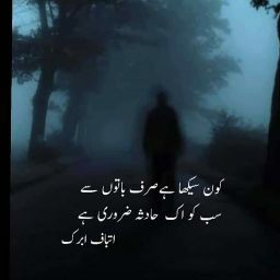 Ali sheeraz