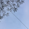 văn vũ