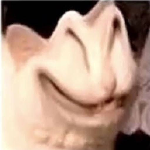 zted2tomorrow