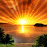 Srikanth Vidyasagar referral code for  makara