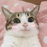 徐哥