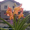 Created by