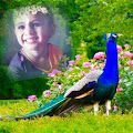 Aisha Notiyar profile pic