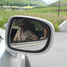 Image pertaining to GIANLUCA DP