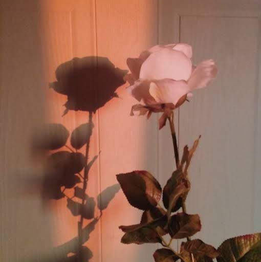 stcrmzy _