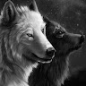 author-avatar