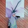 Created by