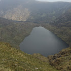 Kullanıcı: Don Henley