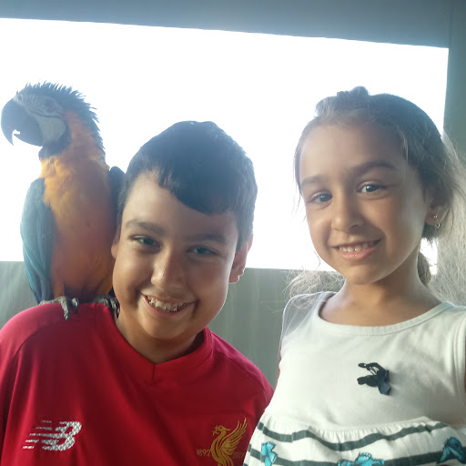 Victor e Bella