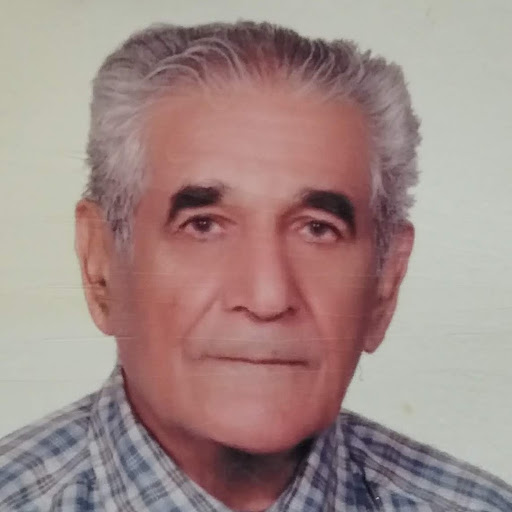 Alireza Magholi