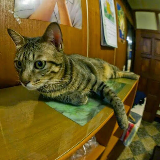 陳逸群