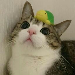 Nazzala Izzata's avatar