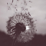 author-avatar