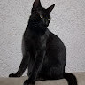 vitoria Santos
