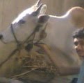 Prasen Vinchurkar