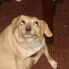 사용자를: 낄낄낄