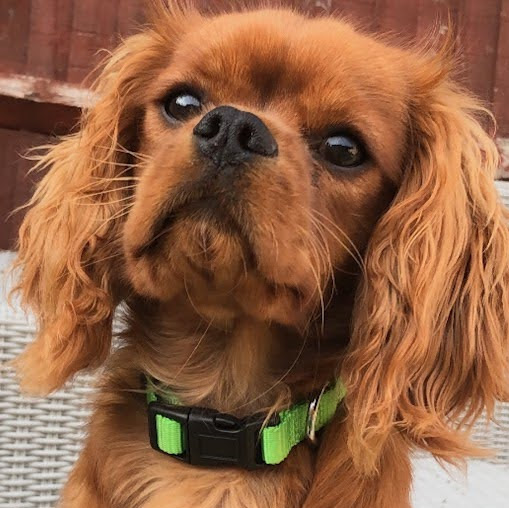 Black Lives Matter! 👊🏻👊🏼👊🏽👊🏾👊🏿