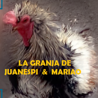 Granja JuanesPi&amp;Mariao