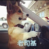 Teng A