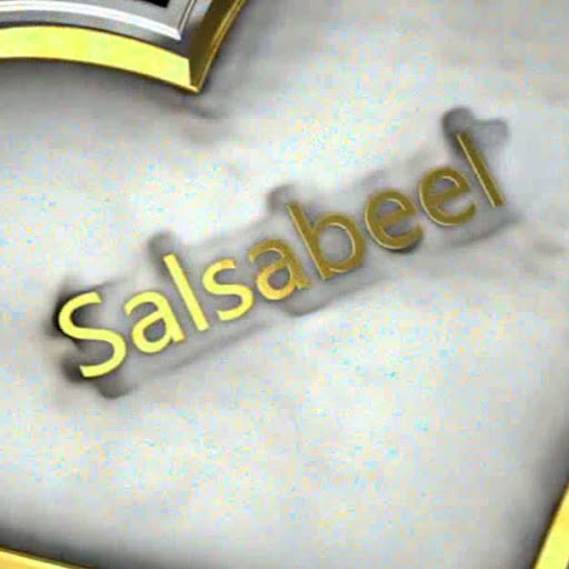 salsabeel naser