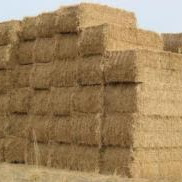 Clontarf Hay