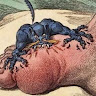 Writer: Gout Solutions