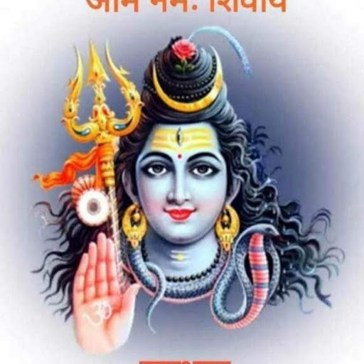 Raman chopra profile pic