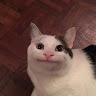 雯雯