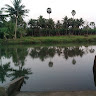 Santoshi Indraganti's avatar