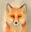 Foxen Werr's user avatar