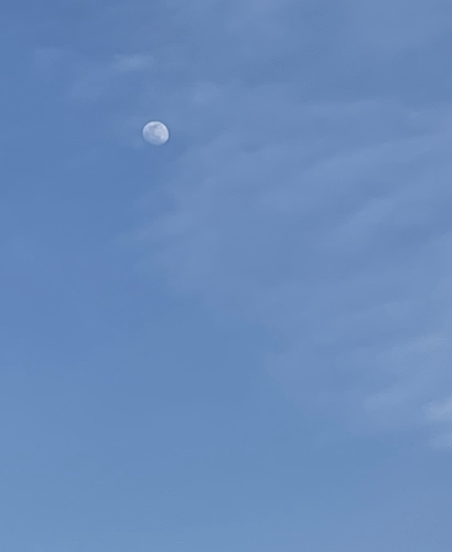 a01071856716