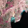 Saba Khosravy