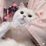 劉亞恩