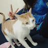 周沛宜