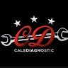 Writer: Cals Diagnostic
