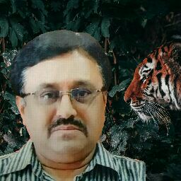 author