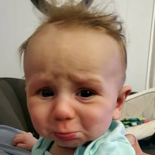 Darcie Wein's avatar