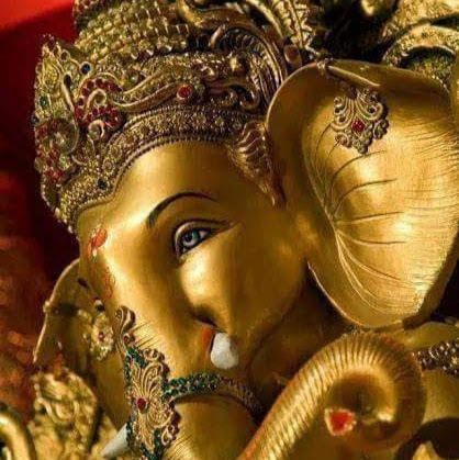 profile image of Renu