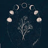 author-avatar