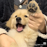 黃品瑜