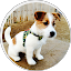 Eddie Jack Russell