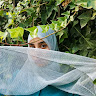Nohayla Chafi
