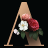 author-avatar