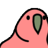 劉宸穗 0