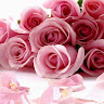 MADHUPRIYA