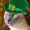 mobilpadde's user avatar