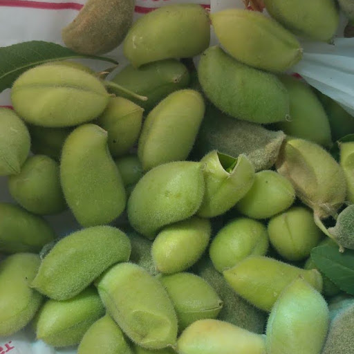 واحة المعرفة
