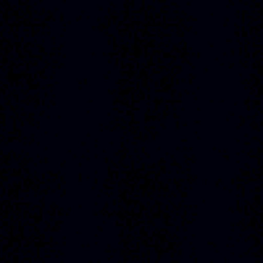 Sebastián Emilio Altamirano Ruiz