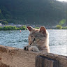 李灝程