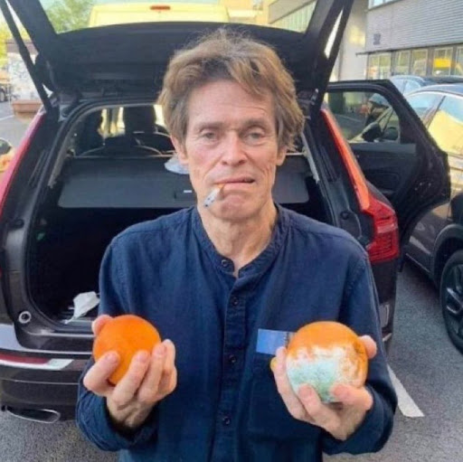 User Image: katiekateog
